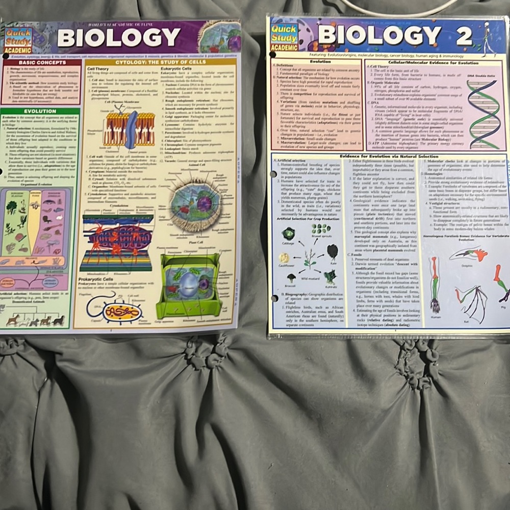 2 biology quick study cards